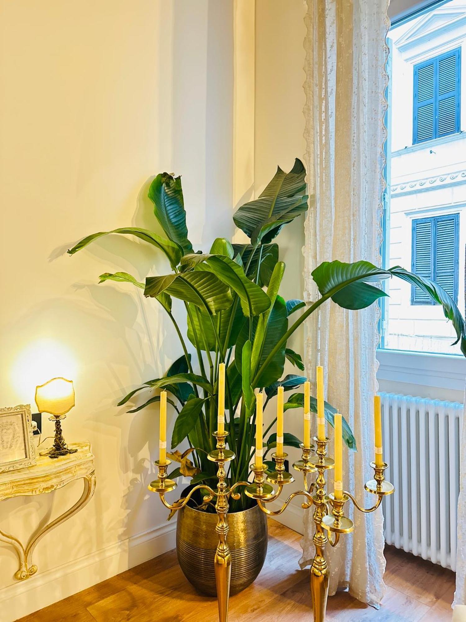 Appartement Trevi Fountain Elegant